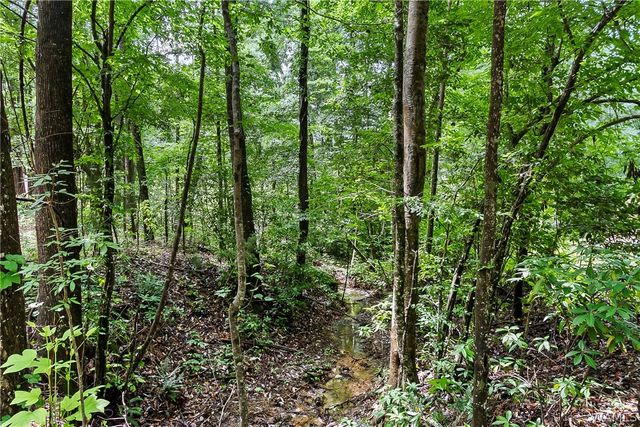 11417 April Sound Dr, Northport, AL 35475