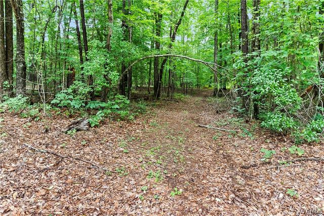 11417 April Sound Dr, Northport, AL 35475