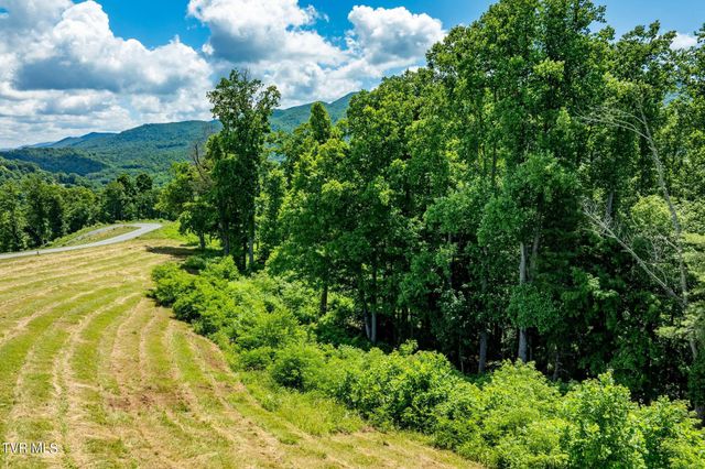 Lot 28 Eagle Ridge Parkway, Butler, TN 37640