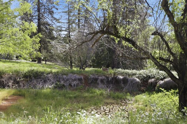 11678 Otting Ct, Grass Valley, CA 95945