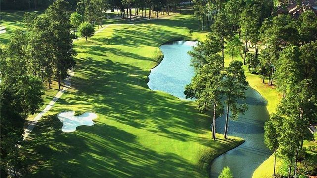 17003 Creeksouth Road, Houston, TX 77068