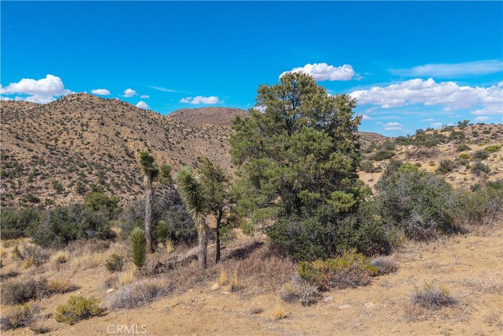 Image 58 of property listing at 48620 Madison Road, Pioneertown, CA 92268