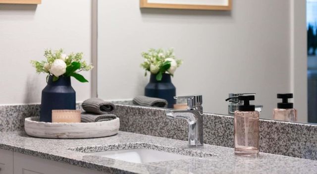 19101 Town Ridge Lane 6415, Webster, TX 77598