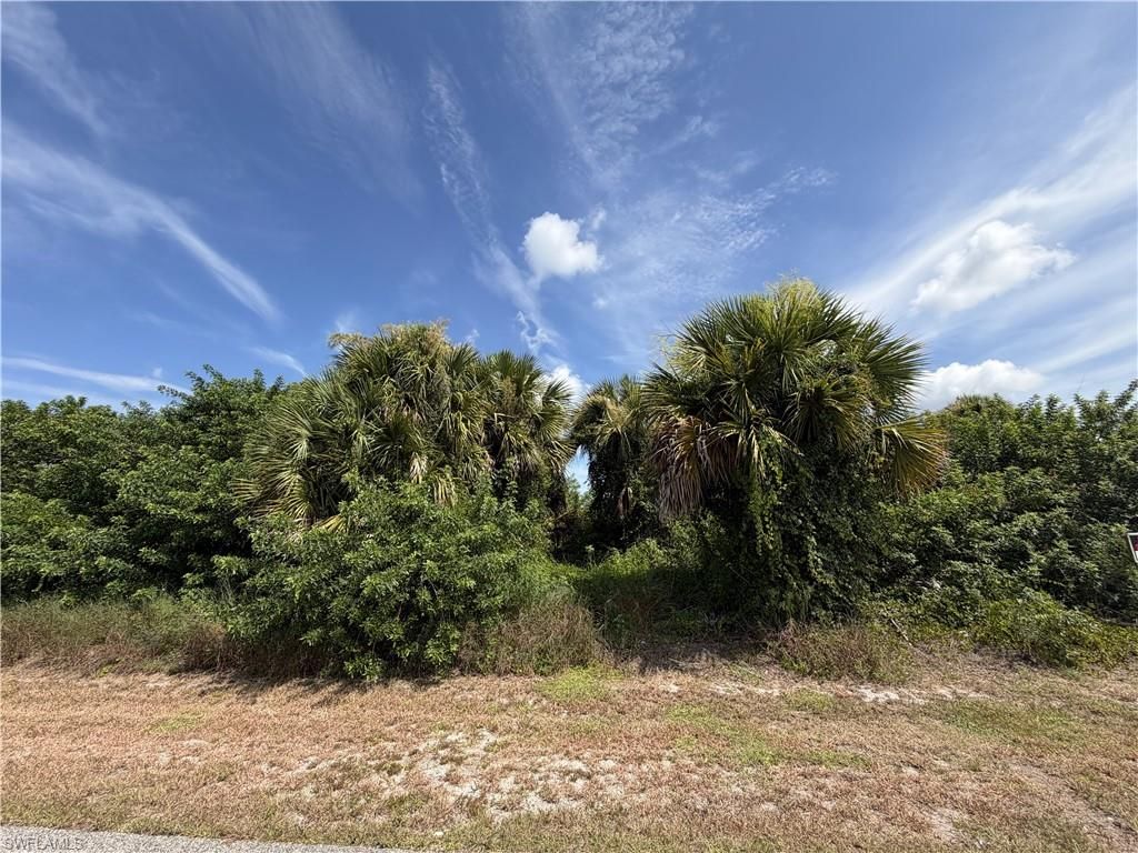 719 Camilla ST E, LEHIGH ACRES, FL 33974 — photo 2