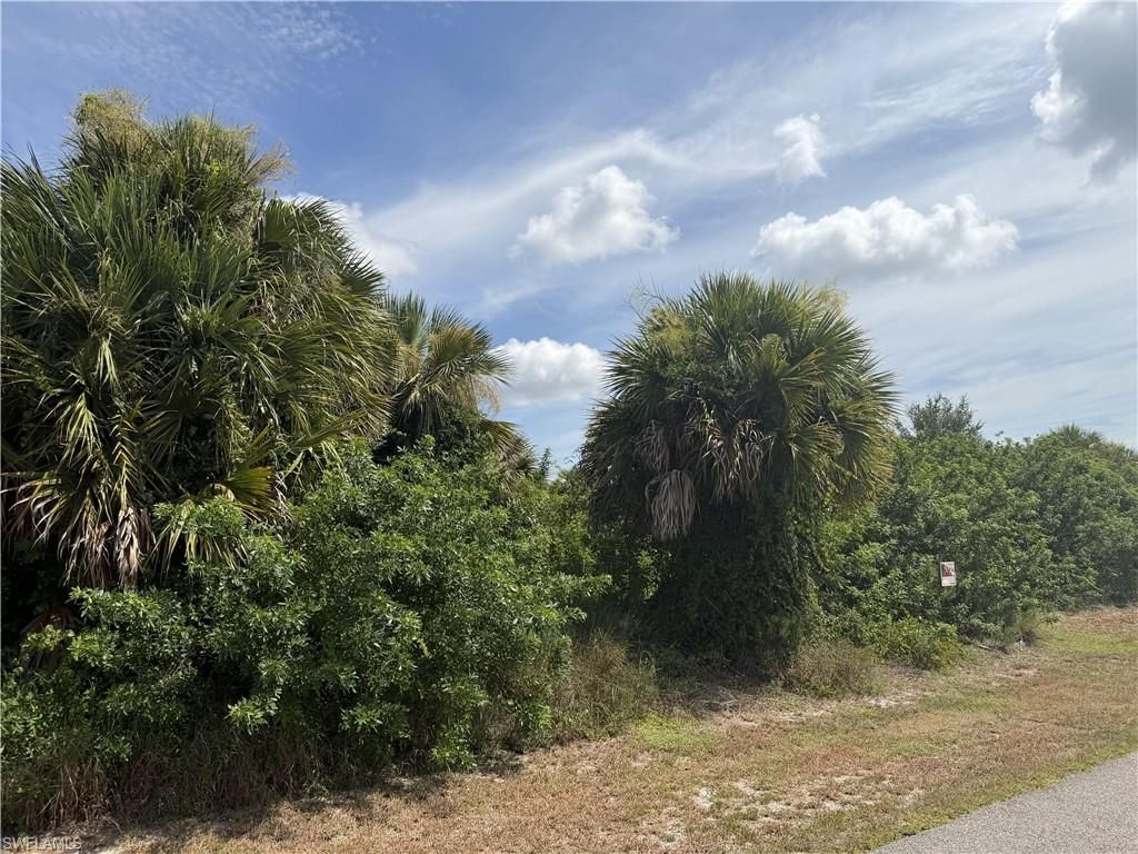 719 Camilla ST E, LEHIGH ACRES, FL 33974 — photo 3