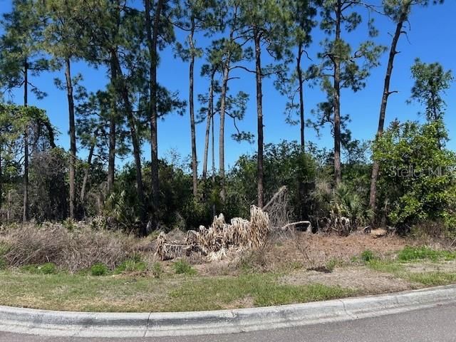 12405 CRUXBURY DRIVE, Windermere, FL 34786