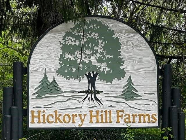 4051 Hickory Hill Lane, Hastings, MI 49058