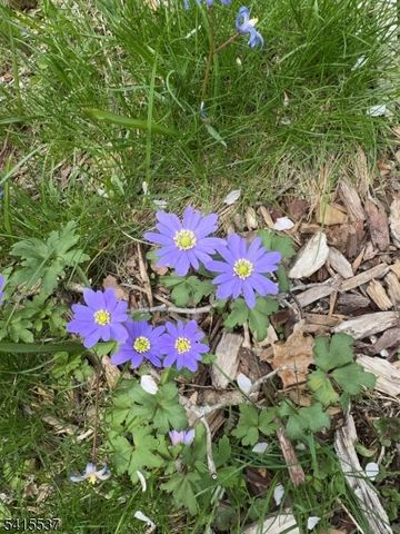 21 Slope Dr, Mansfield Twp., NJ 07840