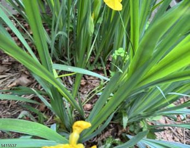 21 Slope Dr, Mansfield Twp., NJ 07840