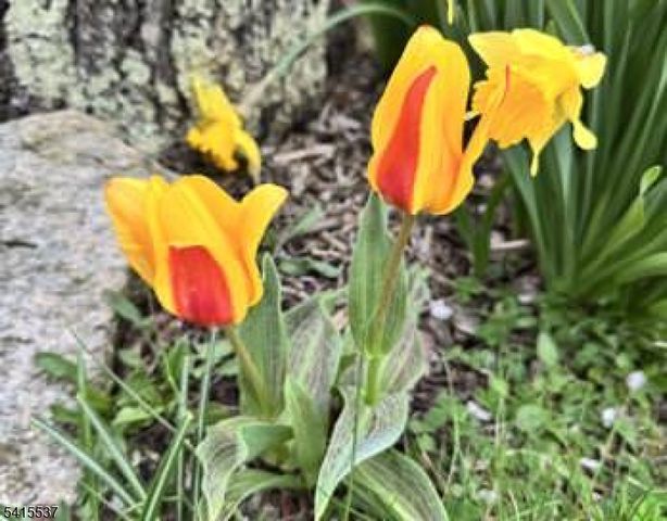 21 Slope Dr, Mansfield Twp., NJ 07840