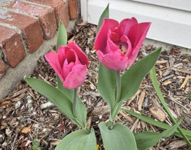 21 Slope Dr, Mansfield Twp., NJ 07840