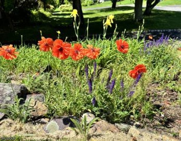 21 Slope Dr, Mansfield Twp., NJ 07840