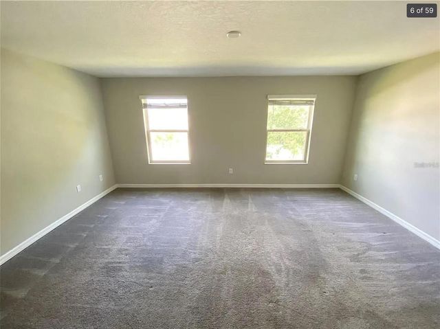 3810 CAT MINT STREET, Tampa, FL 33619