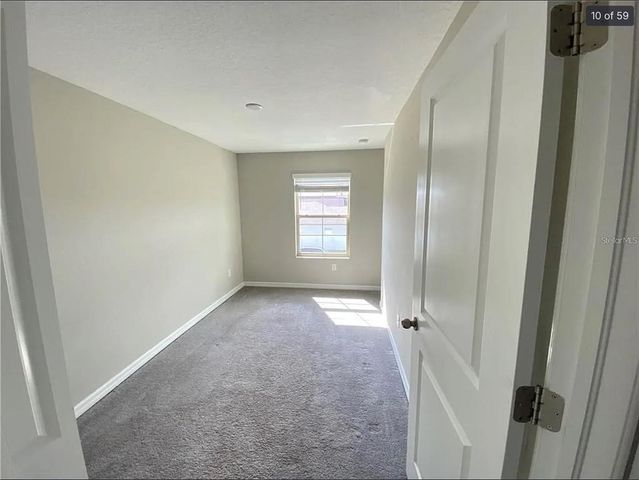 3810 CAT MINT STREET, Tampa, FL 33619