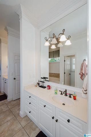 1317 SCOUT TRACE, Hoover, AL 35244