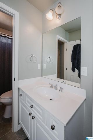 1317 SCOUT TRACE, Hoover, AL 35244