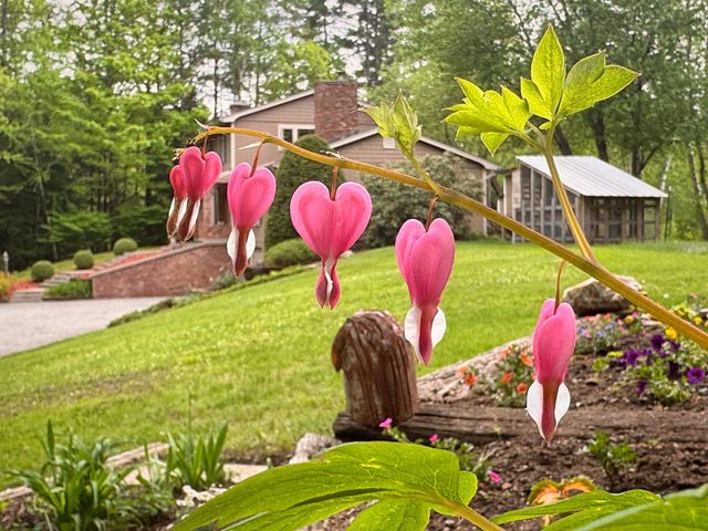 50 Cat Hole Road, Claremont, NH 03743