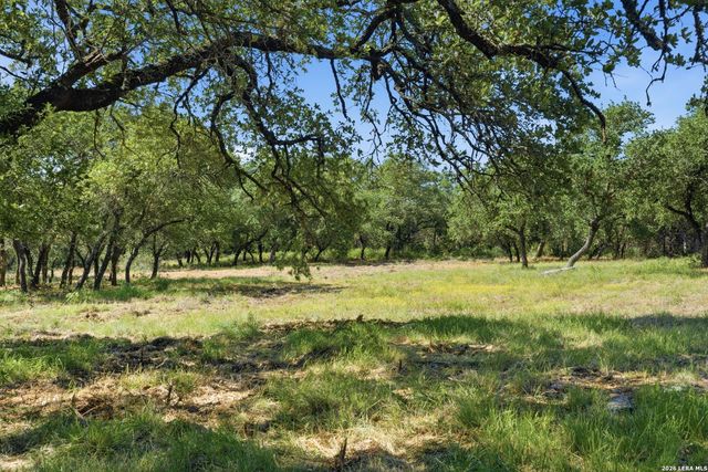 189 SURVISTA LN, New Braunfels, TX 78132