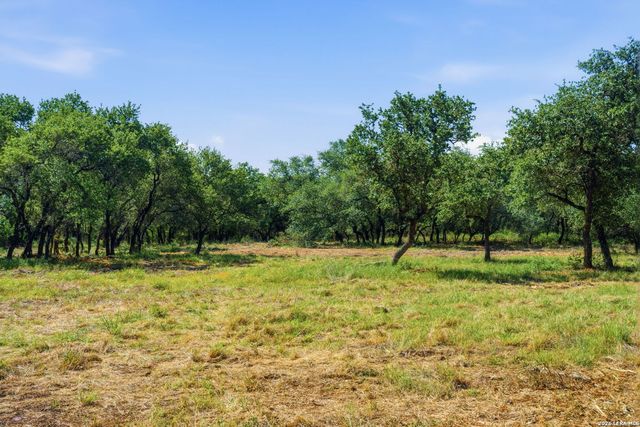 189 SURVISTA LN, New Braunfels, TX 78132
