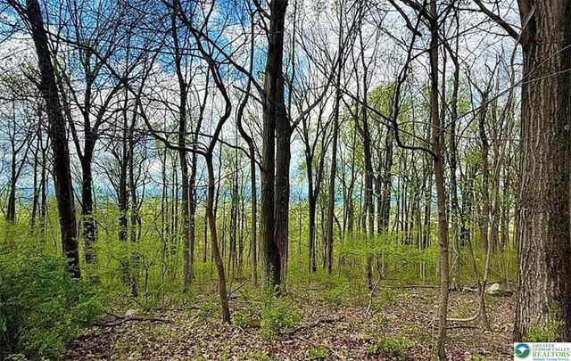 4825 Mountain Drive, Upper Milford Twp, PA 18049