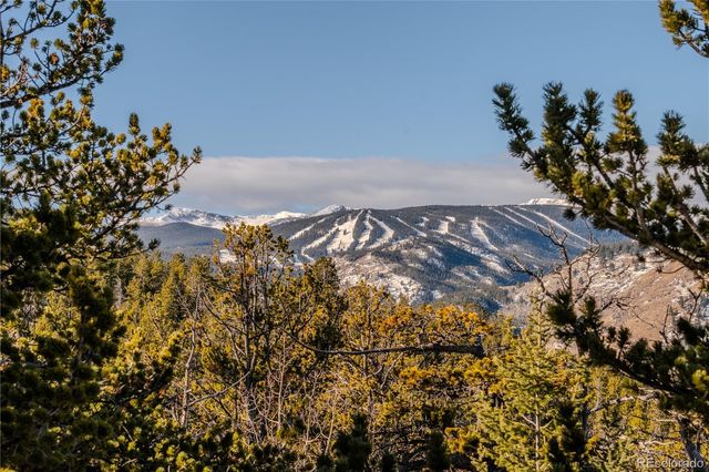 90 Peakview Road, Nederland, CO 80466