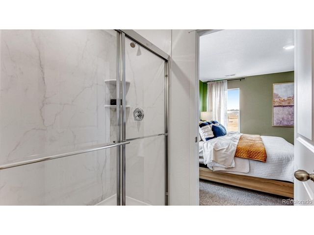 825 Trumpet Ln, Windsor, CO 80550