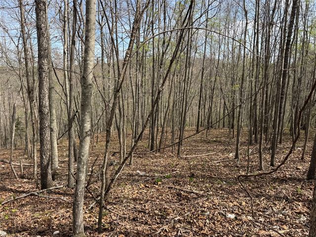 Tract 1 NC 3015, Jasper, AR 72641