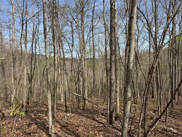 Tract 1 NC 3015, Jasper, AR 72641