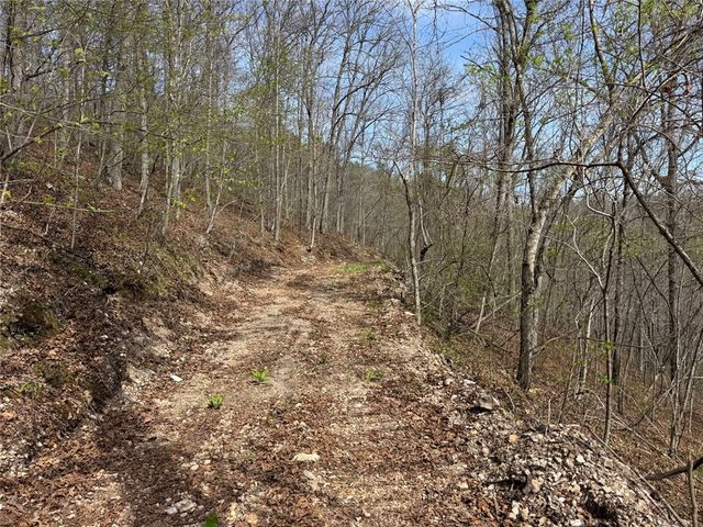 Tract 1 NC 3015, Jasper, AR 72641