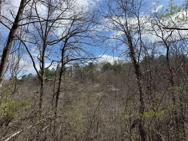 Tract 1 NC 3015, Jasper, AR 72641