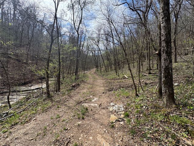 Tract 1 NC 3015, Jasper, AR 72641