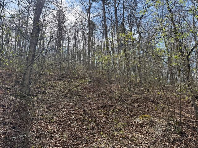 Tract 1 NC 3015, Jasper, AR 72641