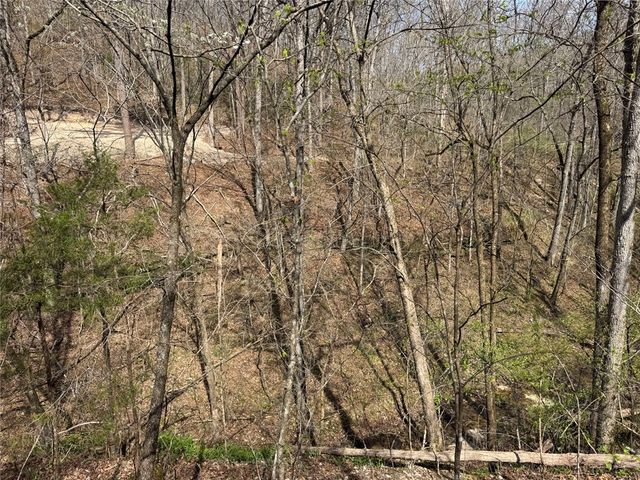 Tract 1 NC 3015, Jasper, AR 72641