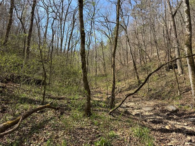 Tract 1 NC 3015, Jasper, AR 72641