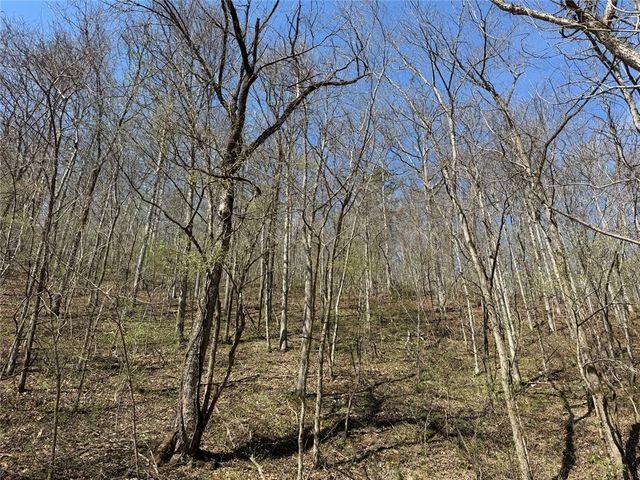 Tract 1 NC 3015, Jasper, AR 72641