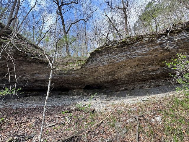 Tract 1 NC 3015, Jasper, AR 72641