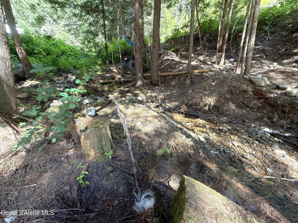 10ac S LATOUR CREEK RD, Cataldo, ID 83810 photo 6