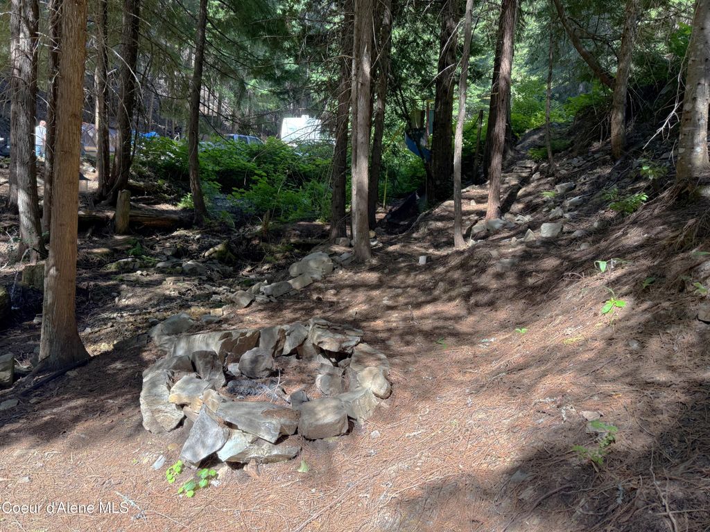 10ac S LATOUR CREEK RD, Cataldo, ID 83810 photo 8