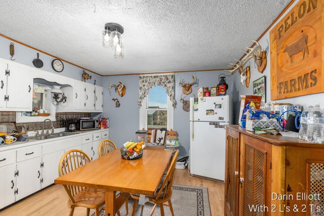 4522 Nickleplate Road, Ionia, MI 48846