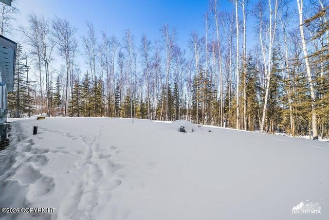 9189 W Angel Drive, Wasilla, AK 99623