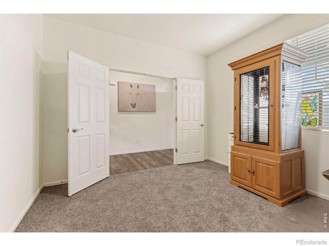 885 Camberly Drive, Windsor, CO 80550