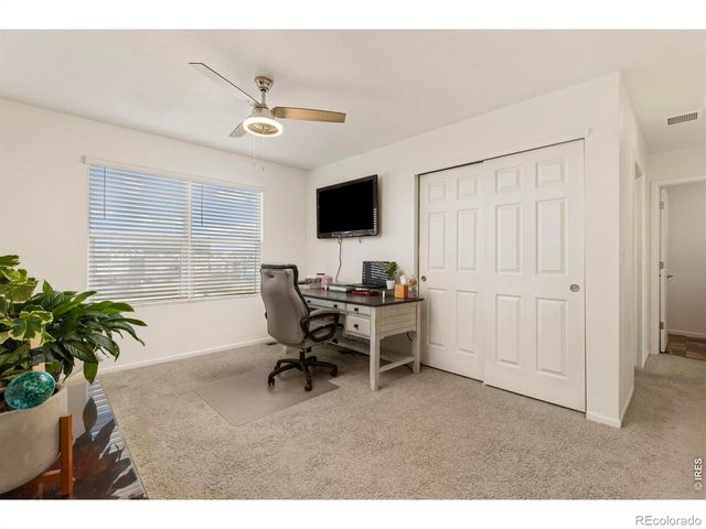 885 Camberly Drive, Windsor, CO 80550