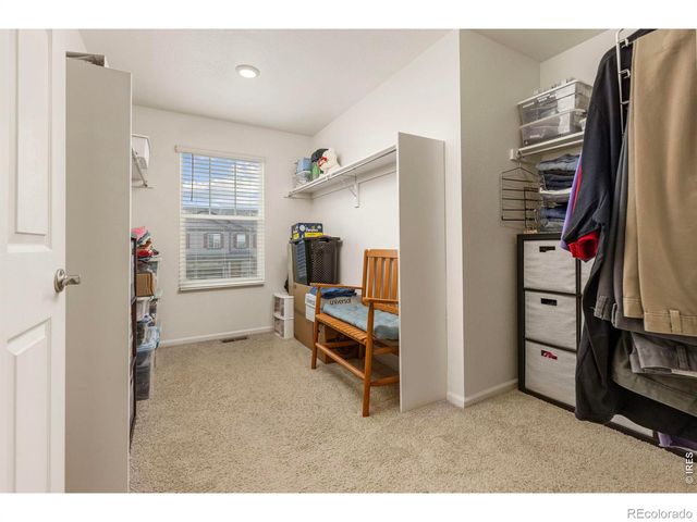 885 Camberly Drive, Windsor, CO 80550