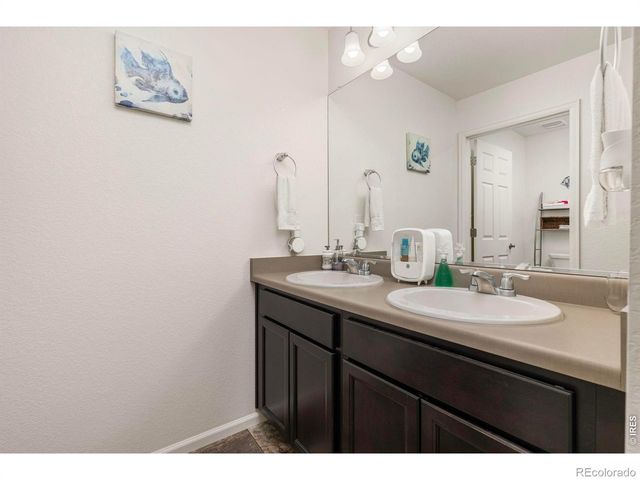 885 Camberly Drive, Windsor, CO 80550