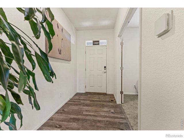 885 Camberly Drive, Windsor, CO 80550