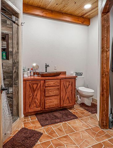 200 Searcy CO. 423, Saint Joe, AR 72675