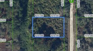 519 ROCKEFELLER Avenue, Lake Placid, FL 33852