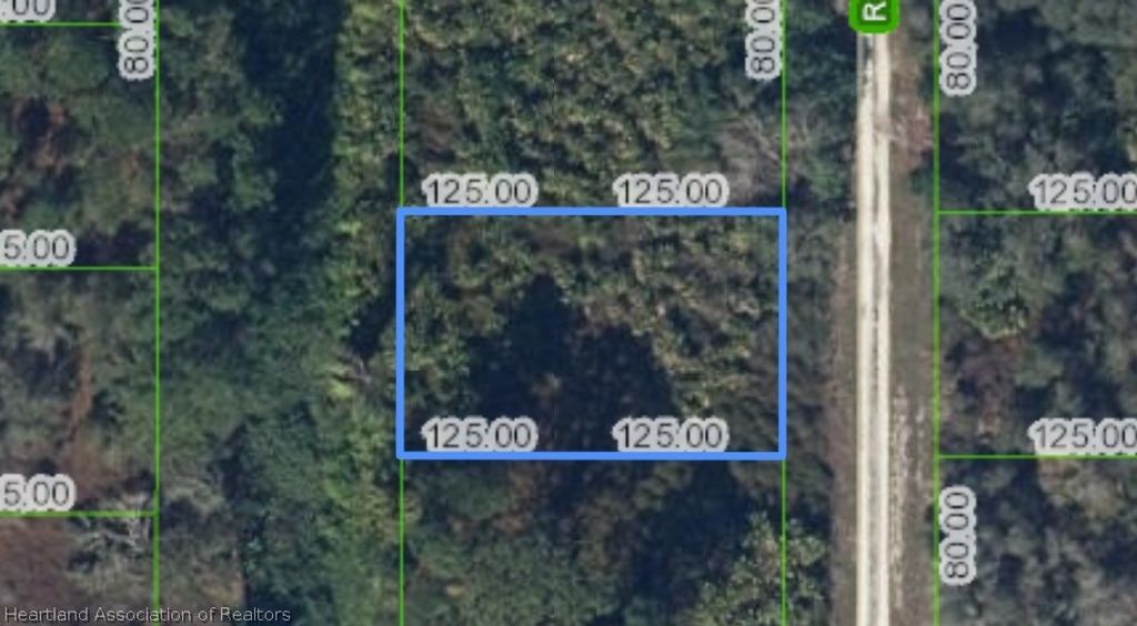 519 ROCKEFELLER Avenue, Lake Placid, FL 33852