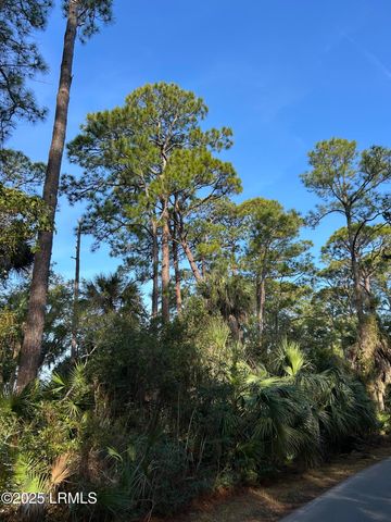 16 Lakeview Lane, Harbor Island, SC 29920