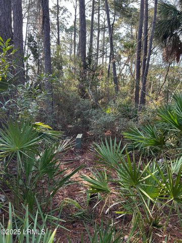 16 Lakeview Lane, Harbor Island, SC 29920